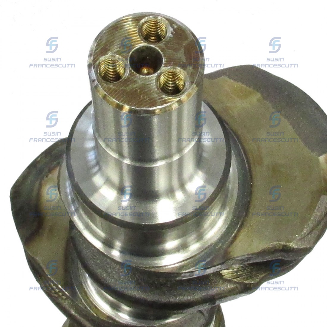 化石　C-37 VB099 - CRANKSHAFT CAT engine 3056 - 6 cil. | Susin Francescutti